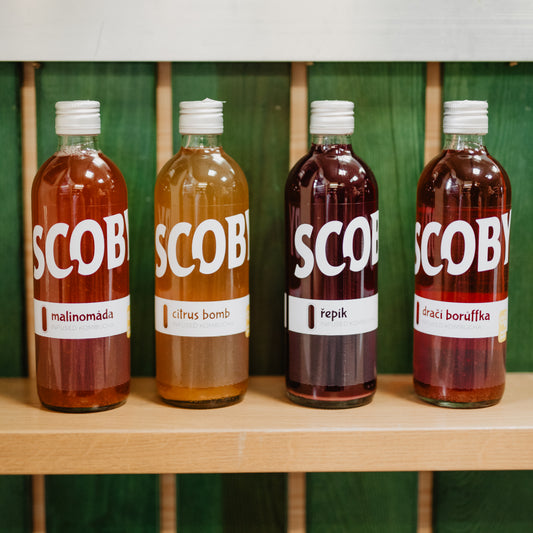 Kombucha - Dračí borůffka (500 ml)